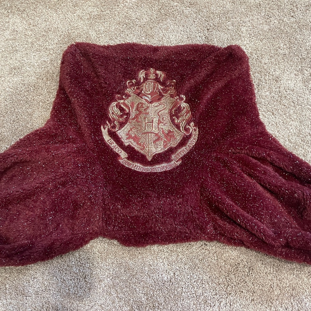 Pottery Barn Teen Harry Potter gold Hogwarts crest backrest pillow cover